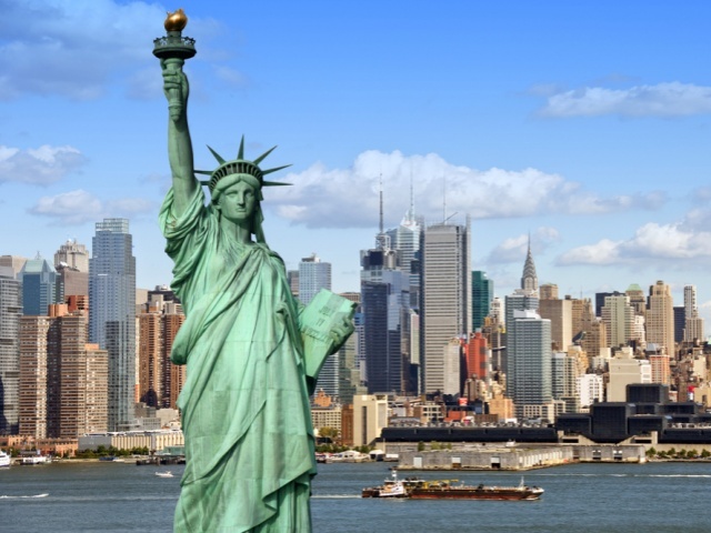 NY-T-9139 gallery 3